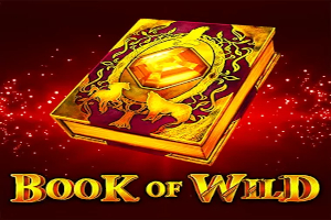 Slot Book of Wild