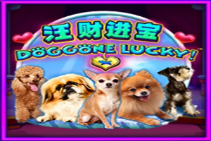 Doggone Lucky