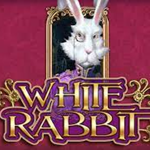 Slot White Rabbit