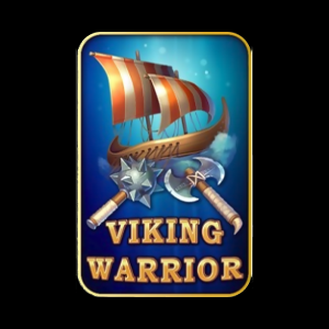 Viking Warrior