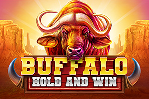 Buffalo Hold and Win