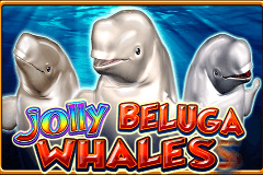 Jolly Beluga Whales