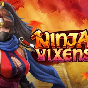 Ninja Vixens