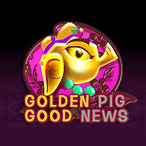 Golden Pig Good News