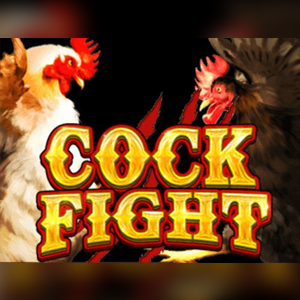 Cock Fight