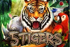 5 Tigers