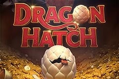 Dragon Hatch