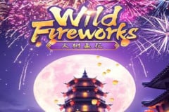 Wild Fireworks