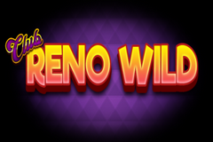 Club Reno Wild