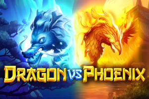 Dragon VS Phoenix